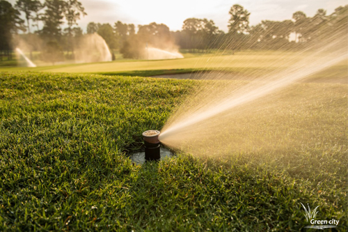 სარწყავი სისტემები