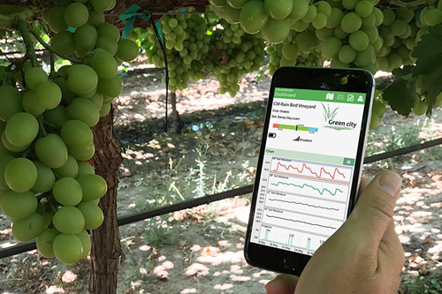 სარწყავი სისტემები